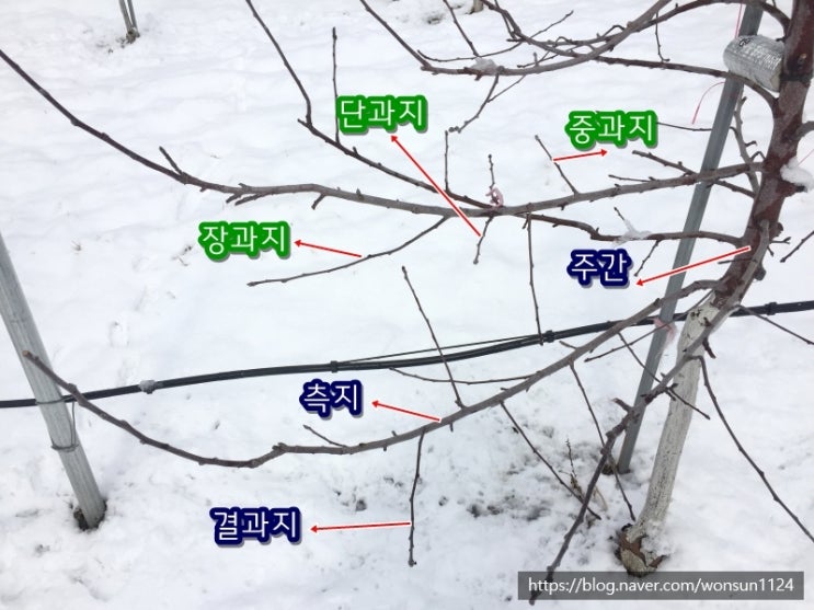  나무구조 용어해설
