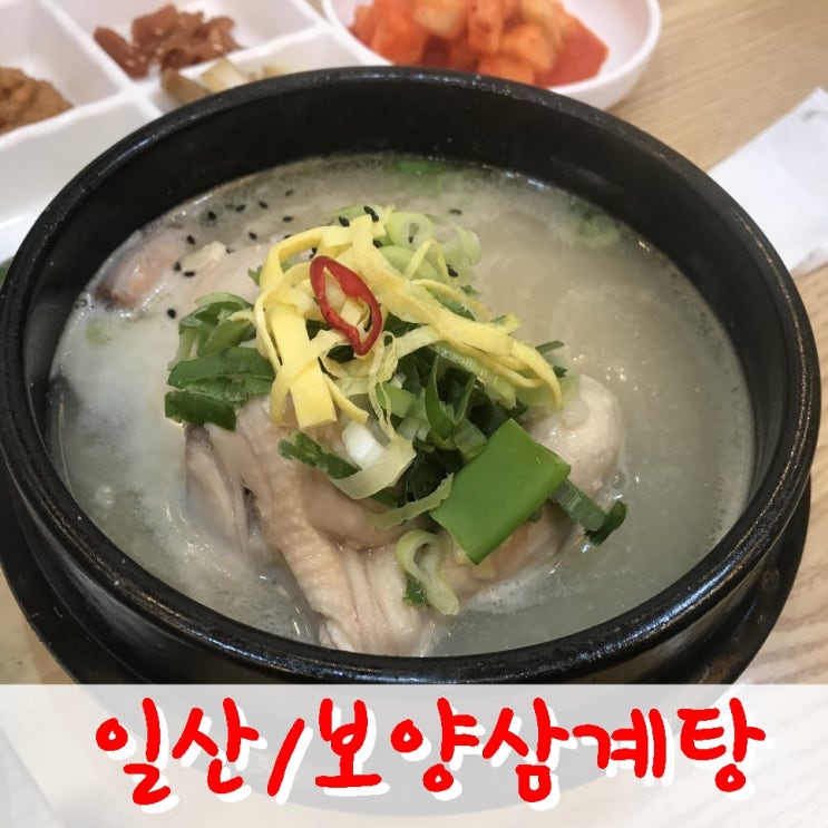  일산- 정갈한 대화역 맛집 보양삼계탕