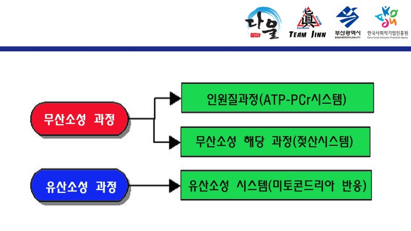 금곡동태권도 : 무산소 운동과 유산소 운동 : 네이버 블로그 금곡동태권도 : 무산소 운동과 유산소 운동 : 네이버 블로그