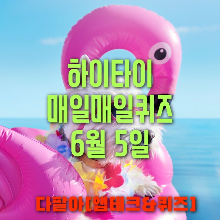  하이타이 매일매일 퀴즈 6월5일 정답 및 참여 방법