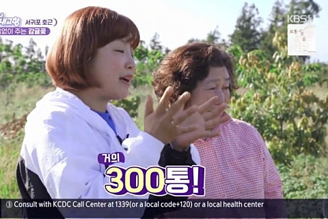 김인순의허니제주 이미지