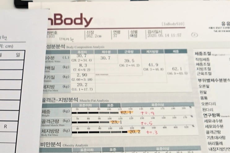  날씬세균 * 닥터폴 뉴욕 한달 후기 -3kg 감량