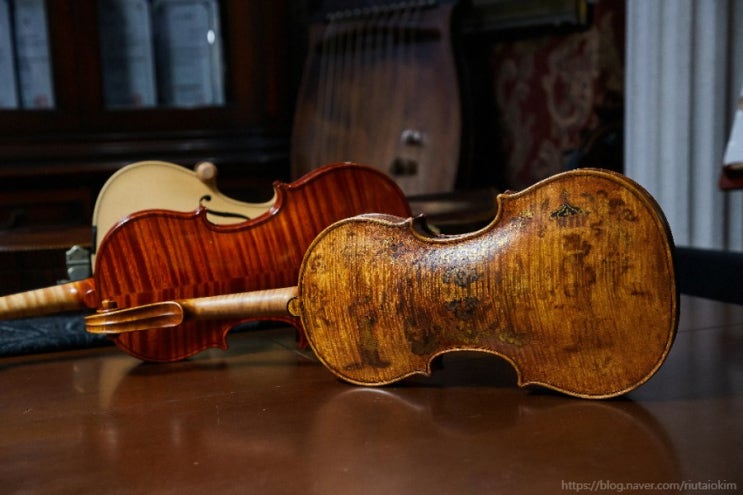 수제바이올린,수제첼로가격 비싸다? 품질과 가격을 잡았다!! [K- violin] 한국현악기제작협동조합 공식 현악기