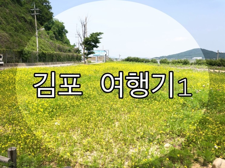 김포 여행기1 - 김포성당, 전류리포구, 대명항