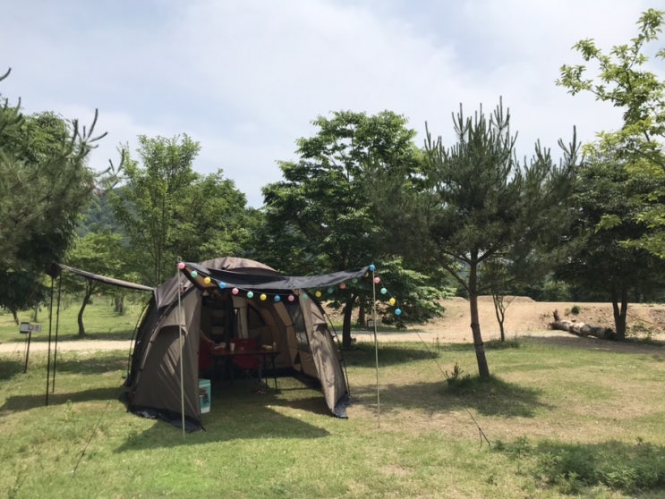 "터널형텐트 고스트텐트" 코베아텐트 거실텐트 , 돔형텐트 설치! -코베아고스트