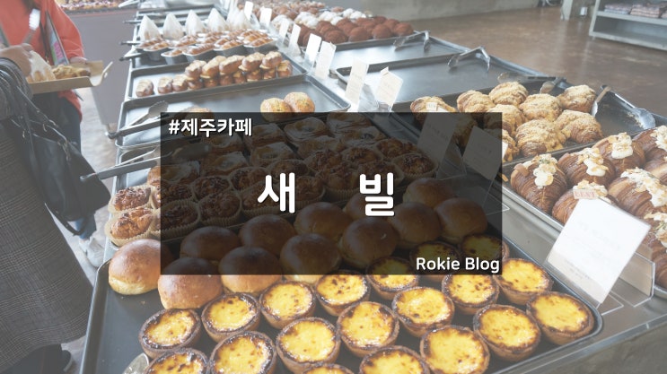  [국내카페]  제주도 새빌