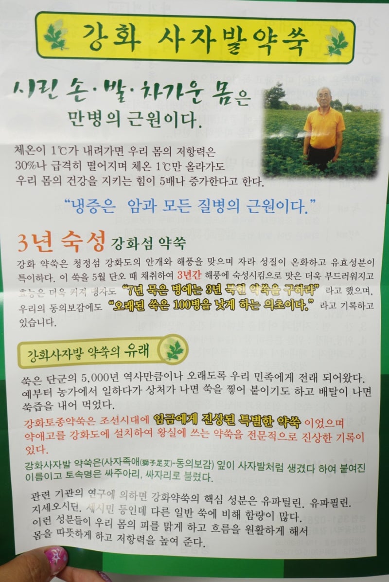 3년 숙성 쑥즙, 강화약쑥 쑥건강즙 청심원 : 네이버 블로그