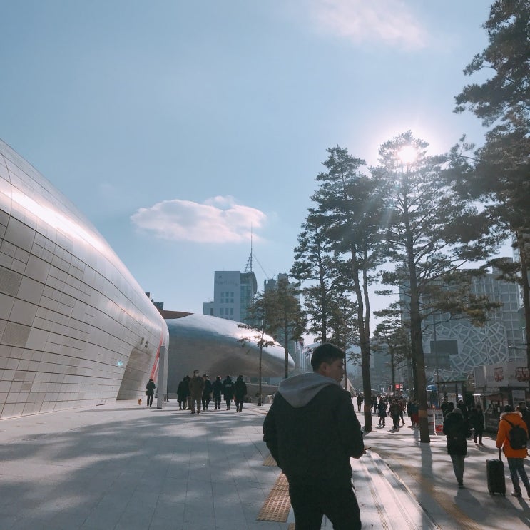  동대문 시장 데이트 디자인플라자(DDP), 도매 옷가게 구경