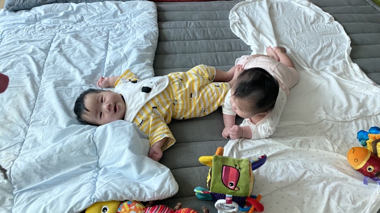  D+128 조금 친해진(?) 듯한 둥이들