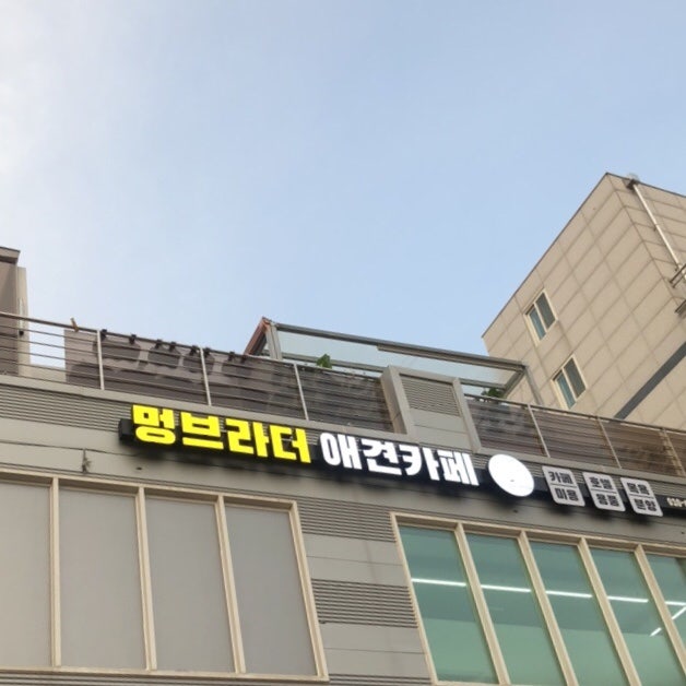 사진 2
