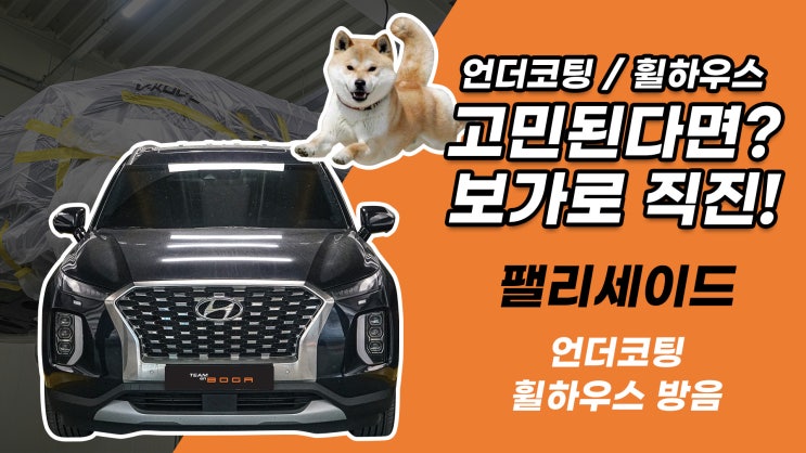  팰리세이드 하부소음 과 부식 방지를 한 번에 해결! / 팀보가 팰리세이드 휠 하우스 방음 및 언더코팅 작업