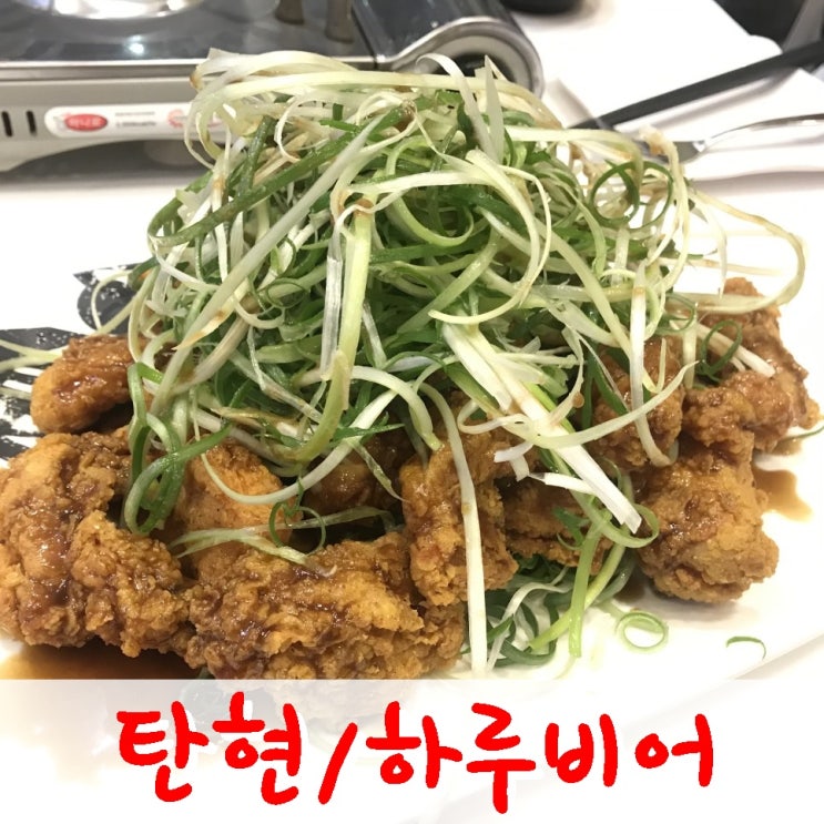  일산 탄현 술집 치맥하기 좋은 하루비어