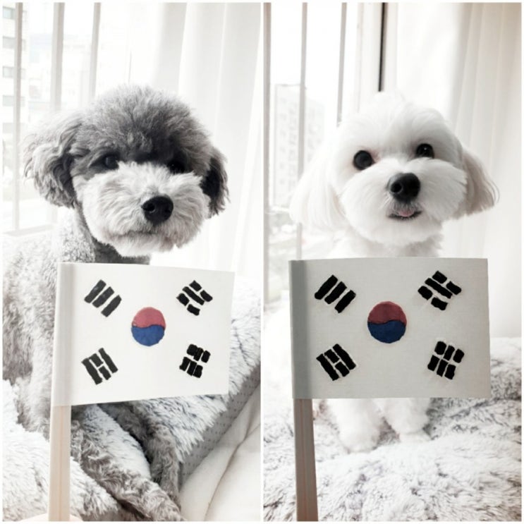  태극기 만들기 현충일 뜻깊게 보내기 (feat.사나고펜)
