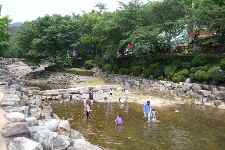 과천 향교 계곡 안양 근처 물놀이 하기 좋은 곳