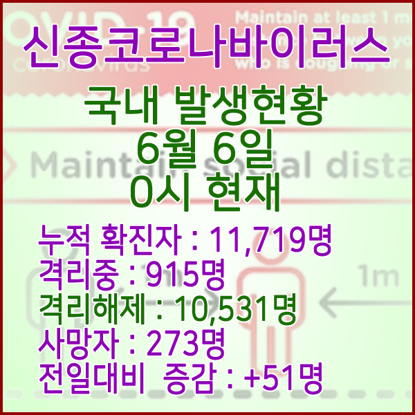  코로나19(코로나바이러스) 6월 6일 0시 국내 발병 11,719명 / 10,531명 완치 격리해제 / 사망자 273명