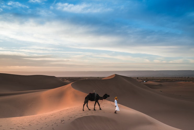 랜선으로 떠나는 사막 여행 (사하라사막, 고비사막, 아타카마사막)