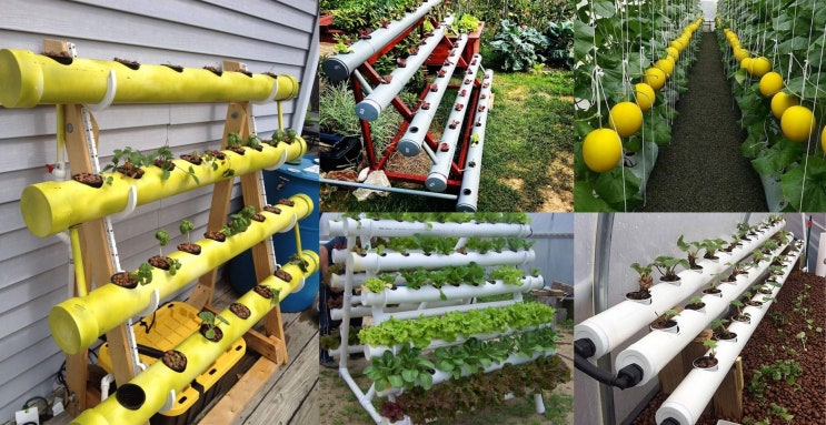 PVC 파이프 배관 수경 재배 수경 채소 텃밭 아이디어