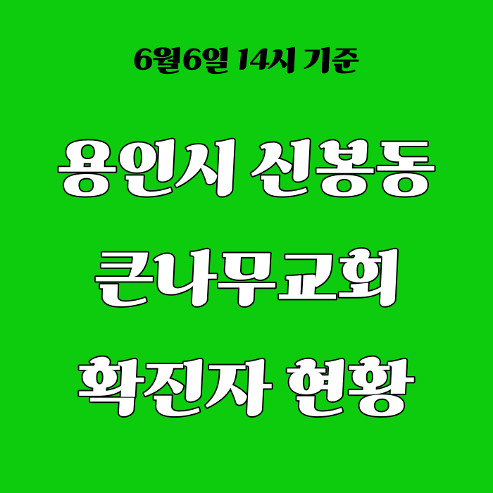  용인시 신봉동 큰나무교회 확진자 발생 현황 정리