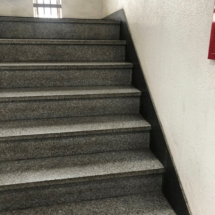 뉴질랜드 초록입홍합 별 거 다 먹고 정착한 후기 뉴질랜드 초록입홍합 별 거 다 먹고 정착한 후기