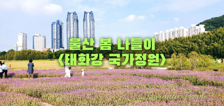 울산 봄 나들이&lt;태화강국가정원&gt;