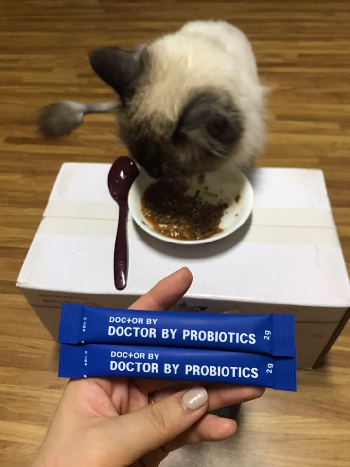 고양이 유산균:닥터바이 프로바이오틱스 고양이 유산균!