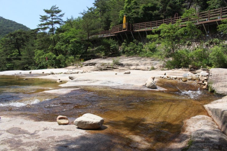  충북/충주 가볼만한 곳 송계계곡 팔랑소산장 중앙탑사적공원