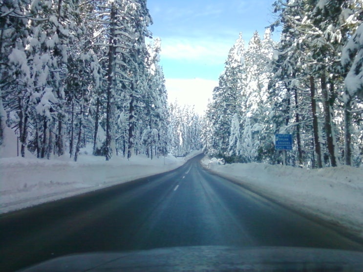  Lake Tahoe | Thanksgiving Trip 레이크 타호의 겨울