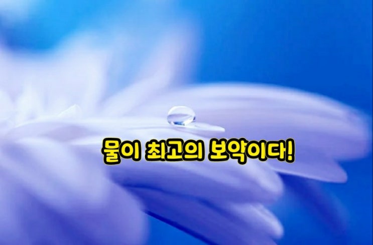 물이 최고의 보약이다!