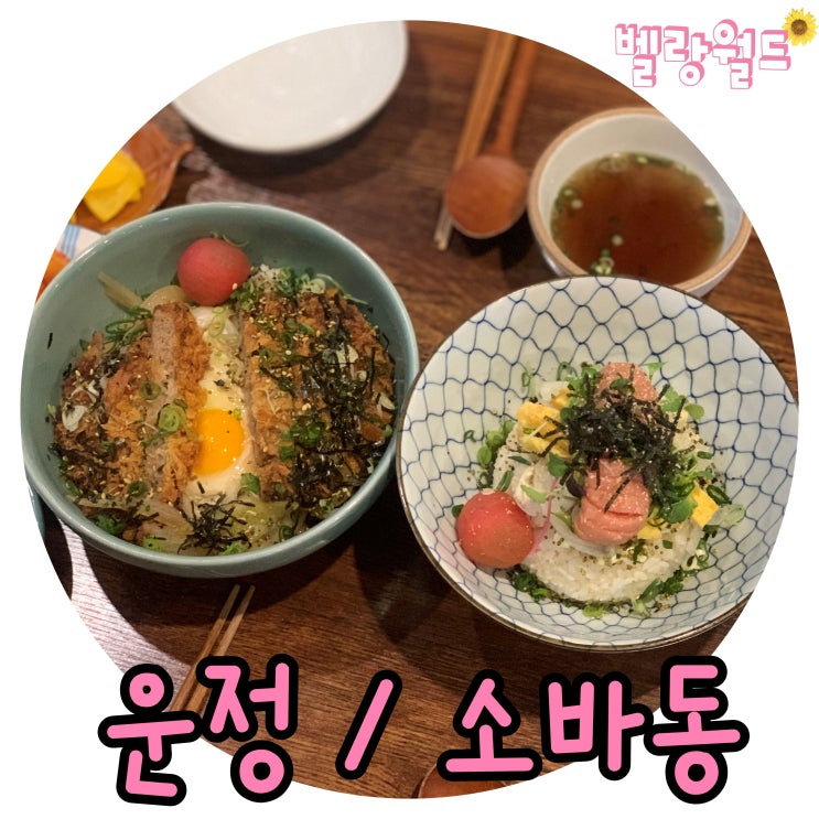  <운정 맛집> 깔끔한 일본식 덮밥맛집'소바동'