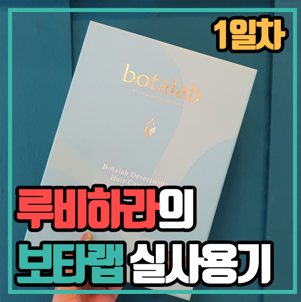  보타랩 - 실 사용기 1일차