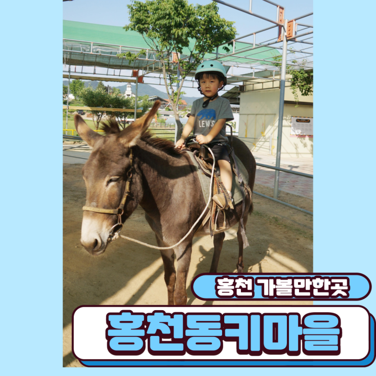  홍천 가볼만한곳 홍천동키마을 당나귀타기 재밌구나