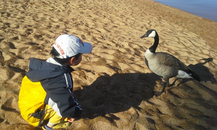  Lake Tahoe | Lakeside Beach & Kings Beach