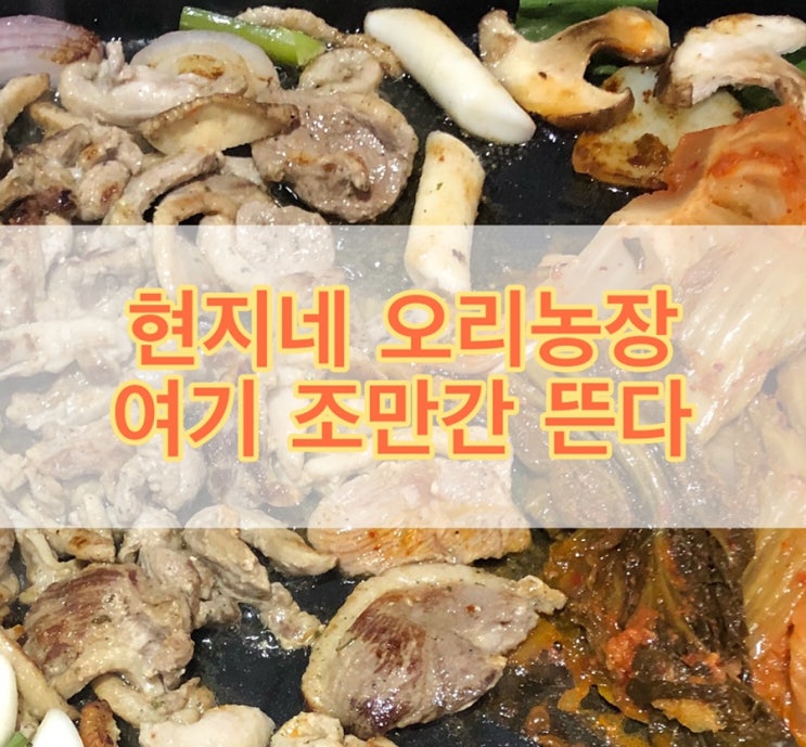  [김포맛집]하성면 현지네 오리농장은 입소문이 자자하죠~