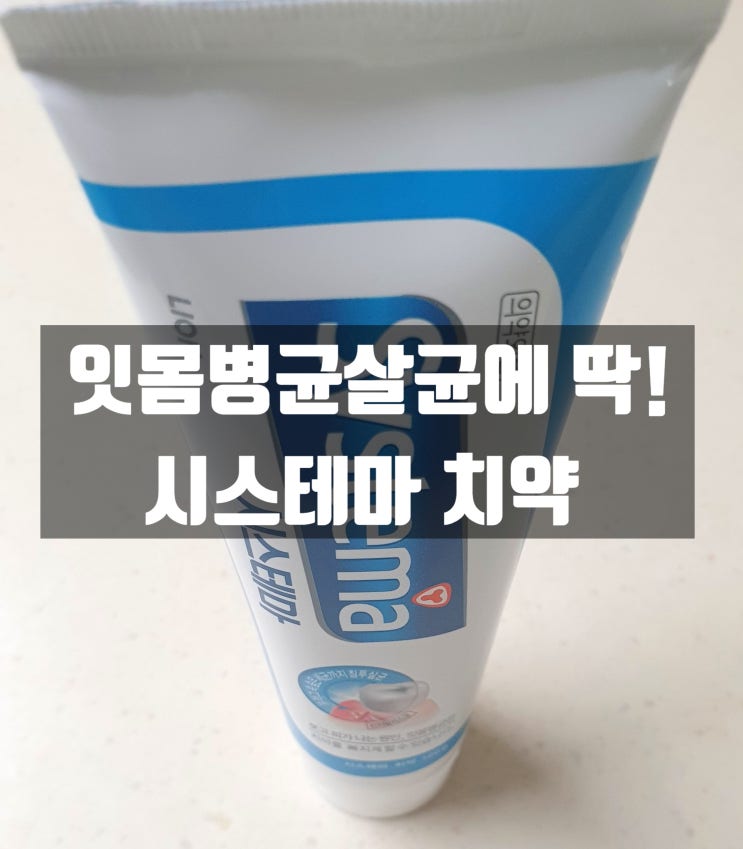  LION 시스테마 치약 (아이스민트) 잇몸병균 진지발리스균 물러가라!/ 내돈내산후기