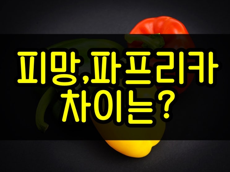  피망 파프리카 차이는? 칼로리와 효능 비교하기