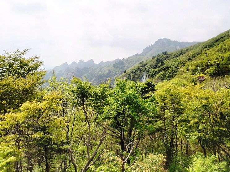  춘천당일치기 지리산 오색약수터~한계령(아름다운 산 대청봉은 가지 못했네요)