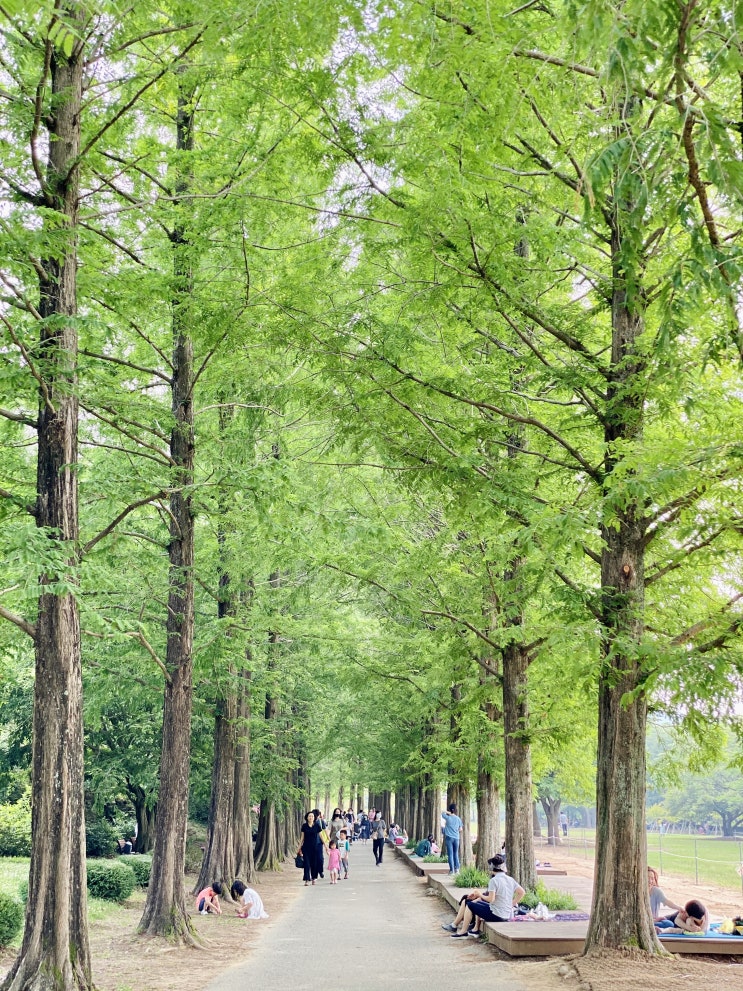 경상남도 진주 수목원 아이와 함께 나들이 가기 좋은 다섯가지 이유