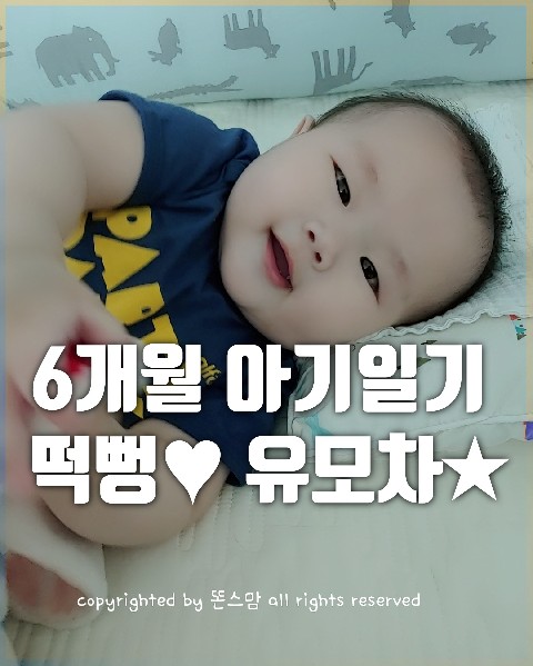  생후 6개월 아기 발달일기  드디어 오이스터 유모차 개시! 대구수목원 나들이와 떡뻥 도전