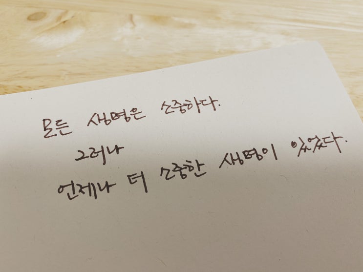 책장 속 한 줄: 문학3 2