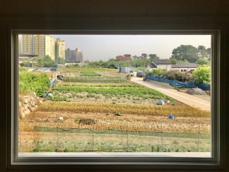 익산 카페 아레라 양갱맛집 인스타 감성 가득 전주근교카페