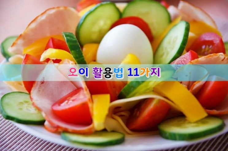  오이 활용법 11가지