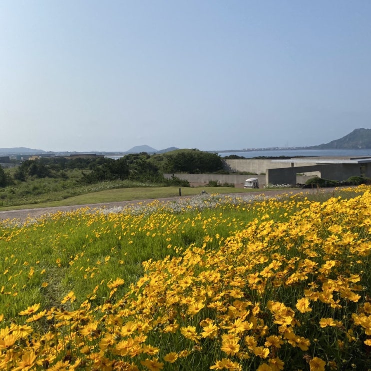  6월의 제주도, 지금은