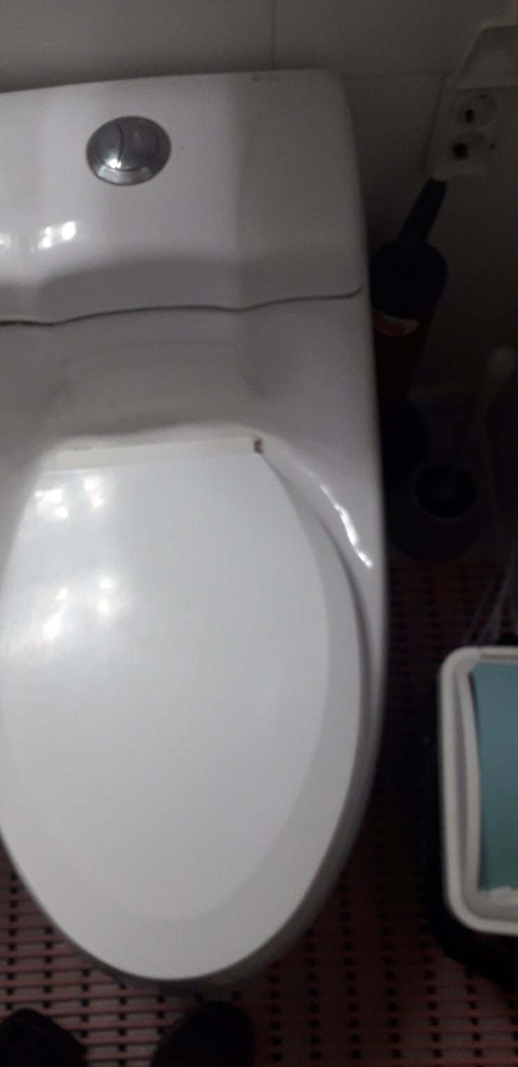  화장실 변기 수압 극복하는 현실적인 방법