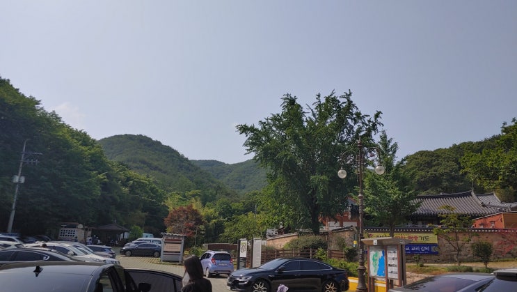 장안사 벽화속 소 이야기 마음을 비우면 세상이 투명하게 보인다 장안사 벽화속 소 이야기 마음을 비우면 세상이 투명하게 보인다