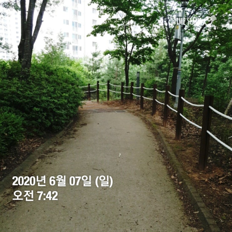  뒷동산 계단 오르기 운동 효과 얼마나 될까?