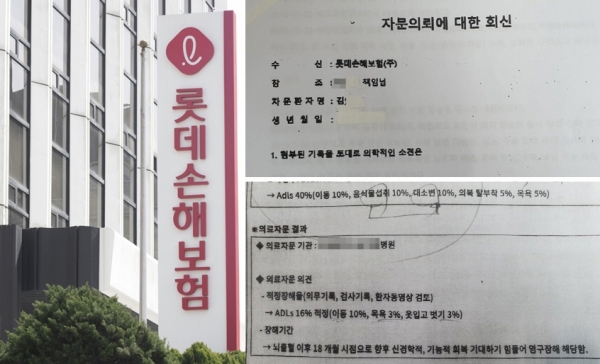 "보험사 의료자문, 실명제 도입하라"... 롯데손보 '유령 자문의' 보험금 지급거부 논란 "보험사 의료자문, 실명제 도입하라"... 롯데손보 '유령 자문의' 보험금 지급거부 논란