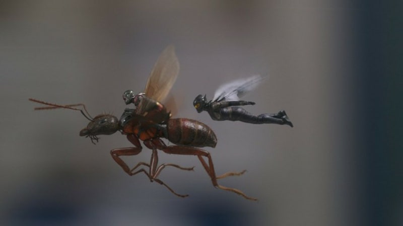 날개미 물렸을때 바르는 연고 /모기 물린것처럼 붓고 따가운 상처 개미물린자국 ft.알레르기 ....