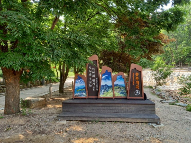  송추계곡 주말 나들이 / 숲놀이터 / 북한산
