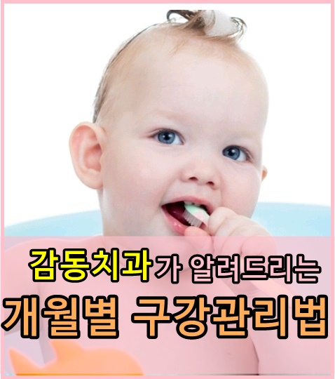  당감동치과*개월수에 따라 다르게 !! 구강건강관리법