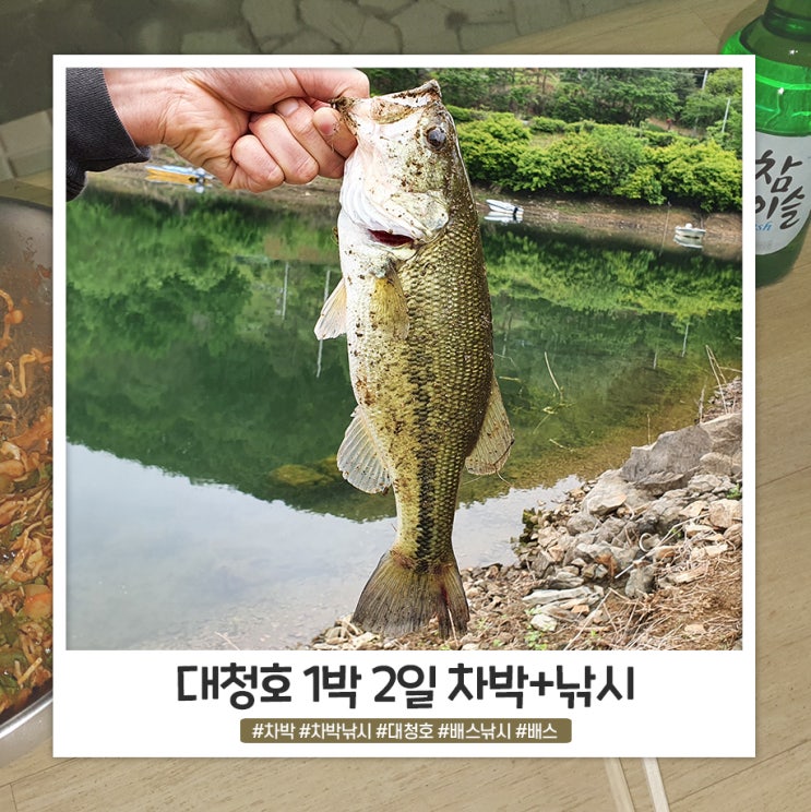 대청호 차박 1박 2일 배스 낚시 대청호 차박 1박 2일 배스 낚시